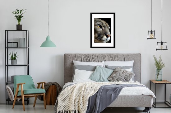 Cadre photo avec affiche - Puma - Animaux sauvages - Portrait - 40x60 cm - Cadre pour affiche