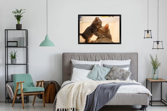 Cadre photo avec affiche - Chat - Chaton - Zwart - 120x80 cm - Cadre pour affiche
