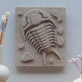Assembli DIY fossiel kit Trilobiet