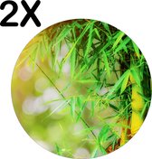 BWK Luxe Ronde Placemat - Groene Bamboo - Set van 2 Placemats - 40x40 cm - 2 mm dik Vinyl - Anti Slip - Afneembaar