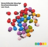 *** Schattige Houten Lieveheersbeestjes - Knutselen - DIY - Decoratie - 100 stuks - multicolour - van Heble® ***