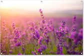 Tuindecoratie lavendel - Bloemen - Paars - 120x80 cm - Tuin - Schutting decoratie - Tuinposter - Schuttingdoek - Buitenposter - Tuinversiering - Balkon decoratie - Tuinschilderij - Tuindoek - Buitenposter