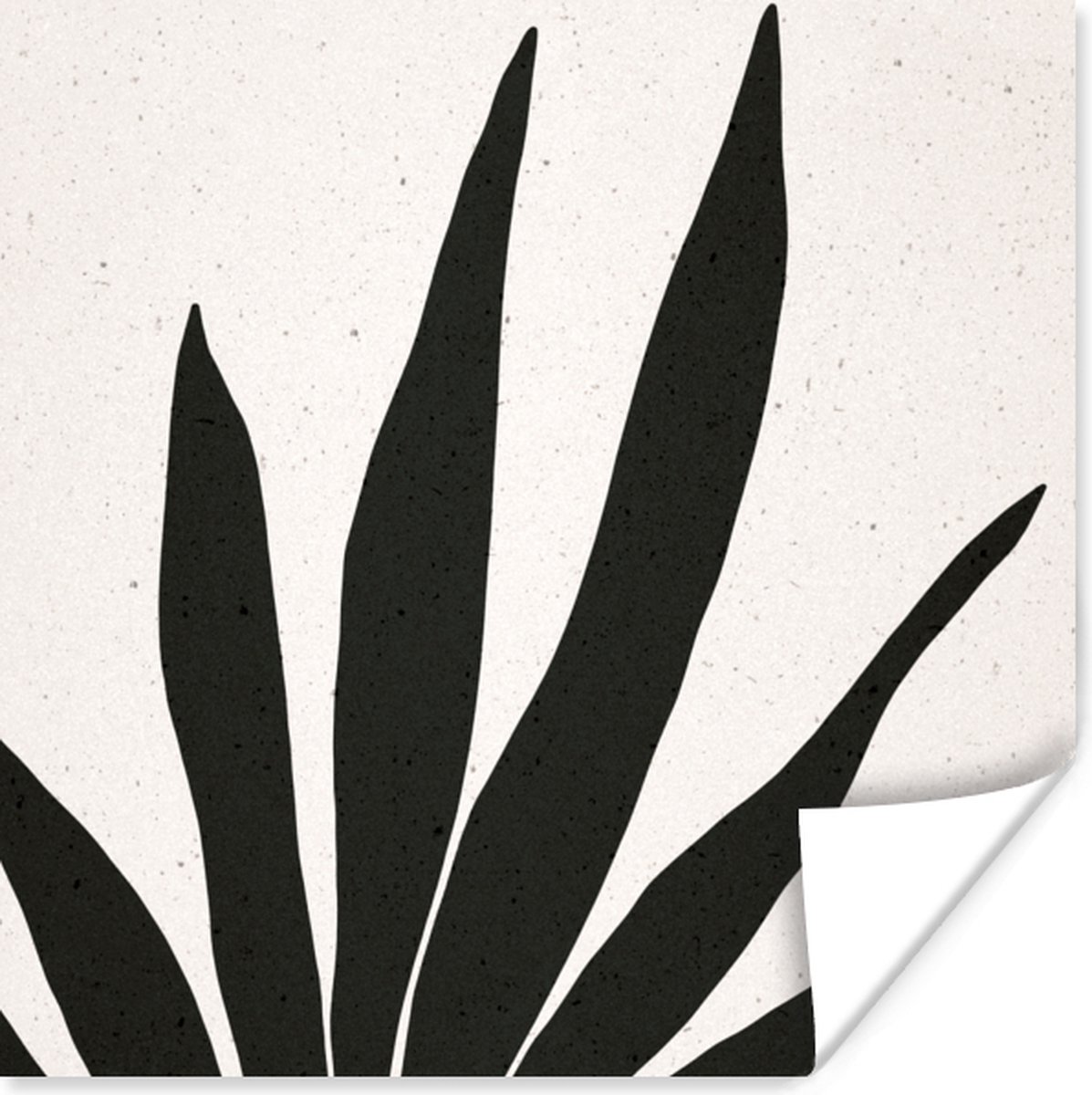 Poster Blad - Plant - Minimalisme - 75x75 cm