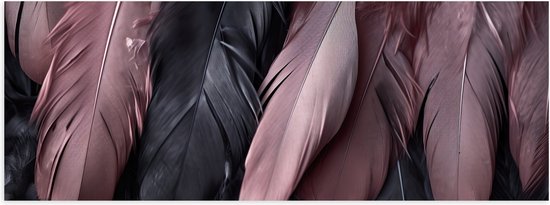 Poster Glanzend – Veren - Zwart - Roze - 90x30 cm Foto op Posterpapier met Glanzende Afwerking