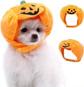 Chapeau de chien d’Halloween citrouille - vêtements pour chiens - taille unique - chapeau de citrouille