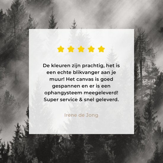 Peinture sur toile - Arbres - Brouillard - Forêt - Paysage - Peintures sur toile - 20x30 cm - Photo sur toile - Canvasdoek