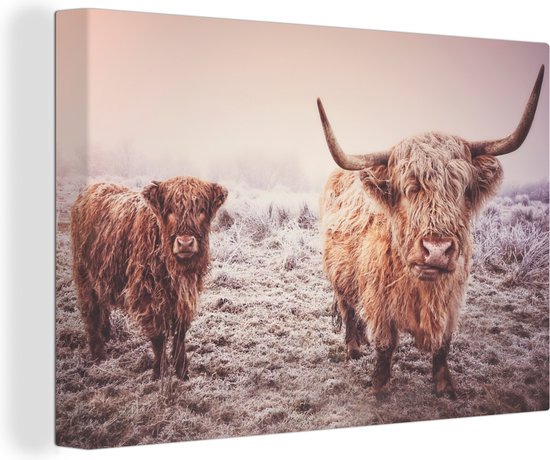 Canvas Schilderij Schotse hooglanders - Licht - Lucht - Natuur - 60x40 cm - Wanddecoratie