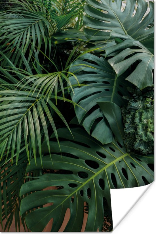 Poster Planten - Jungle - Bladeren - Tropisch - 120x180 cm XXL - Kerstversiering - Kerstdecoratie voor binnen - Kerstmis