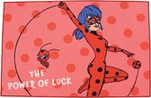 Tapis avec Ladybug et Tikki sur fond rose à pois rouges. Il est écrit 'The Power of Luck'.