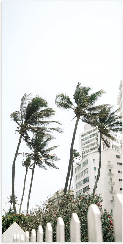 Poster Glanzend – Wind door Palmbomen bij Wit Gebouw - 50x100 cm Foto op Posterpapier met Glanzende Afwerking