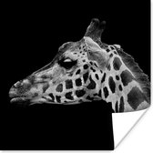 Poster Dieren - Giraffe - Zwart - Wit - 50x50 cm