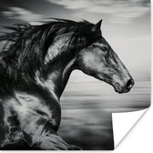 Poster Paard - Dieren - zwart - Wit - 75x75 cm
