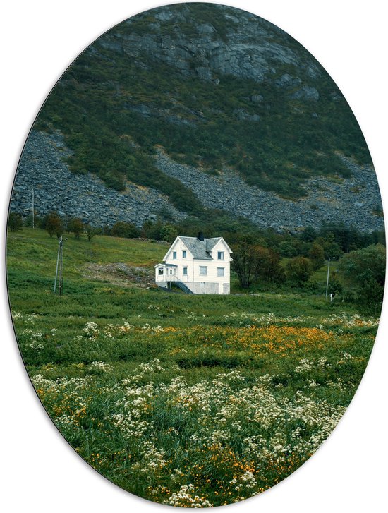 Dibond Ovaal - Witte Eenzame Villa in het Dal van de Bergen - 81x108 cm Foto op Ovaal (Met Ophangsysteem)