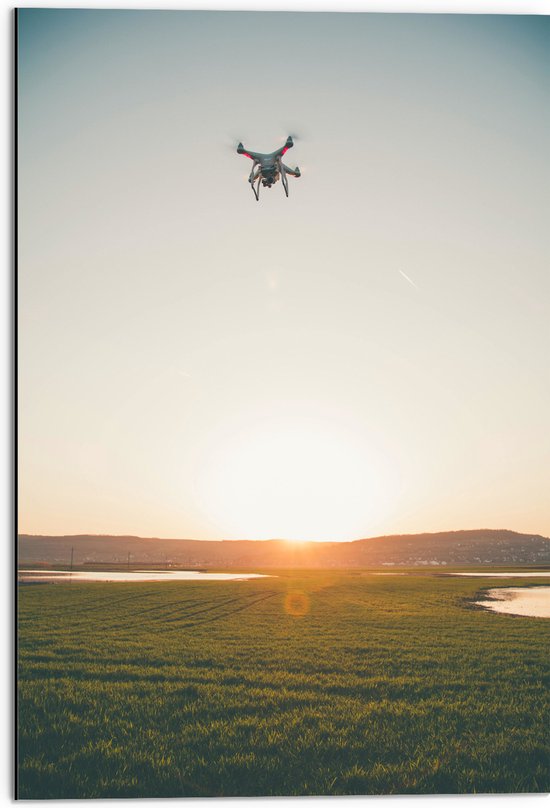 Dibond - Drone Vliegend boven Grasveld aan het Water bij Zonsondergang - 50x75 cm Foto op Aluminium (Met Ophangsysteem)