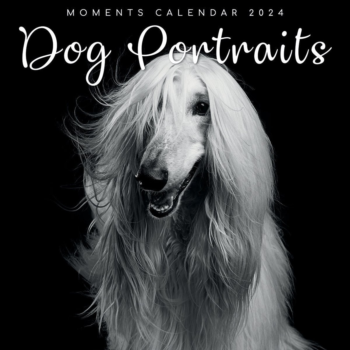 Dog Portraits Kalender 2024