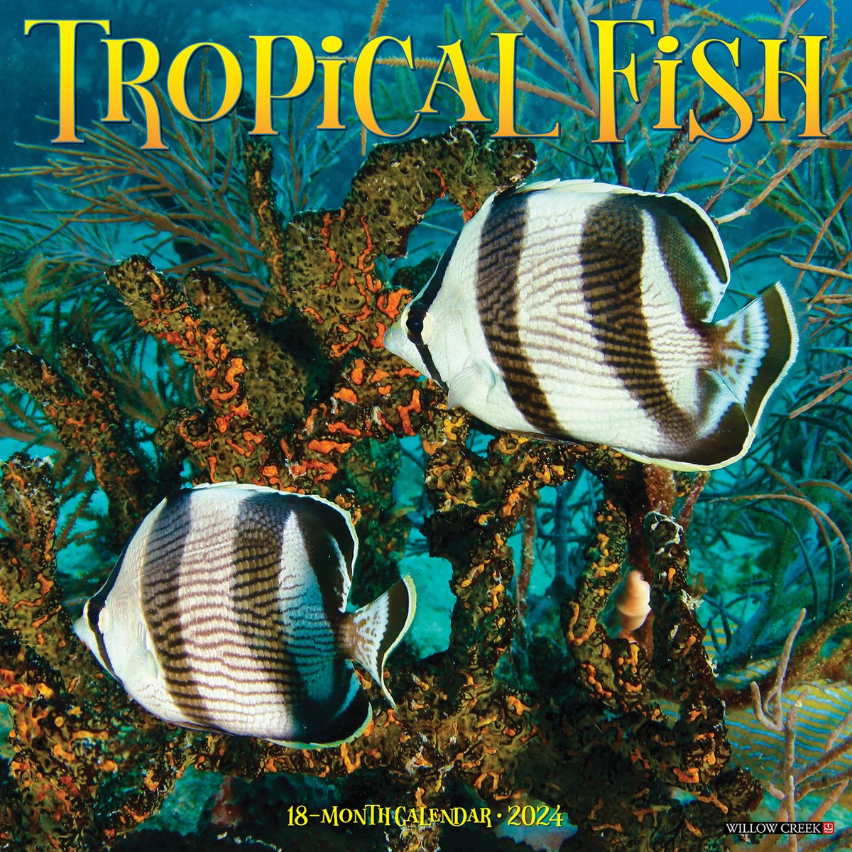Tropical Fish Kalender 2024