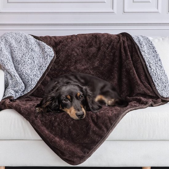 Couverture imperméable pour chien, canapé-lit lavable, protection de  meubles, peluche
