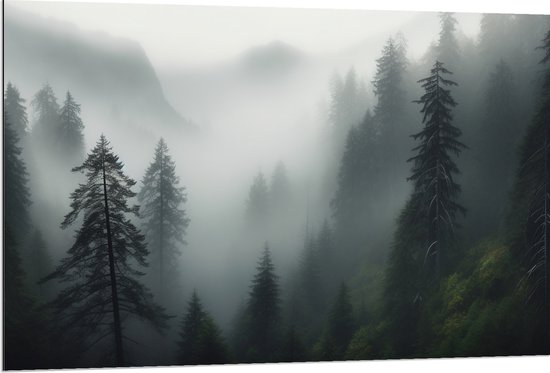 Dibond - Dichte Mist Hangend in Boomtoppen - 120x80 cm Foto op Aluminium (Met Ophangsysteem)