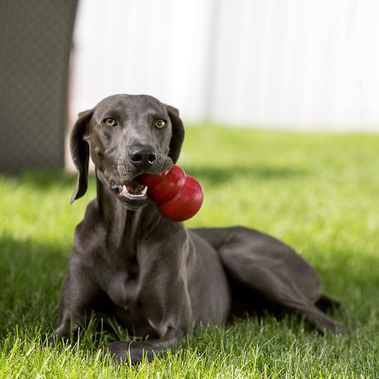 KONG Classic - Snackbal Honden Speelgoed - Rubber - 10.16cm - Rood - Maat L
