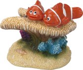 Aqua Della - Aquariumdecoratie - Vissen - Clownfish 7 6x3,5x5cm - 1st