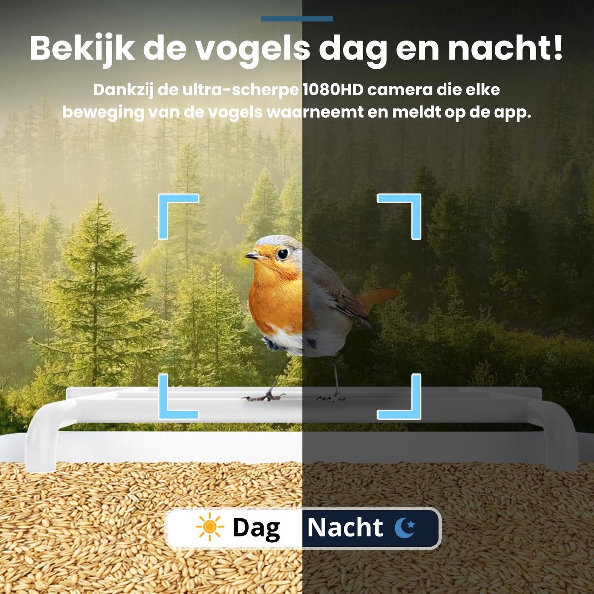 Mangeoire À Oiseaux Intelligente Avec Caméra Capture - Temu Belgium