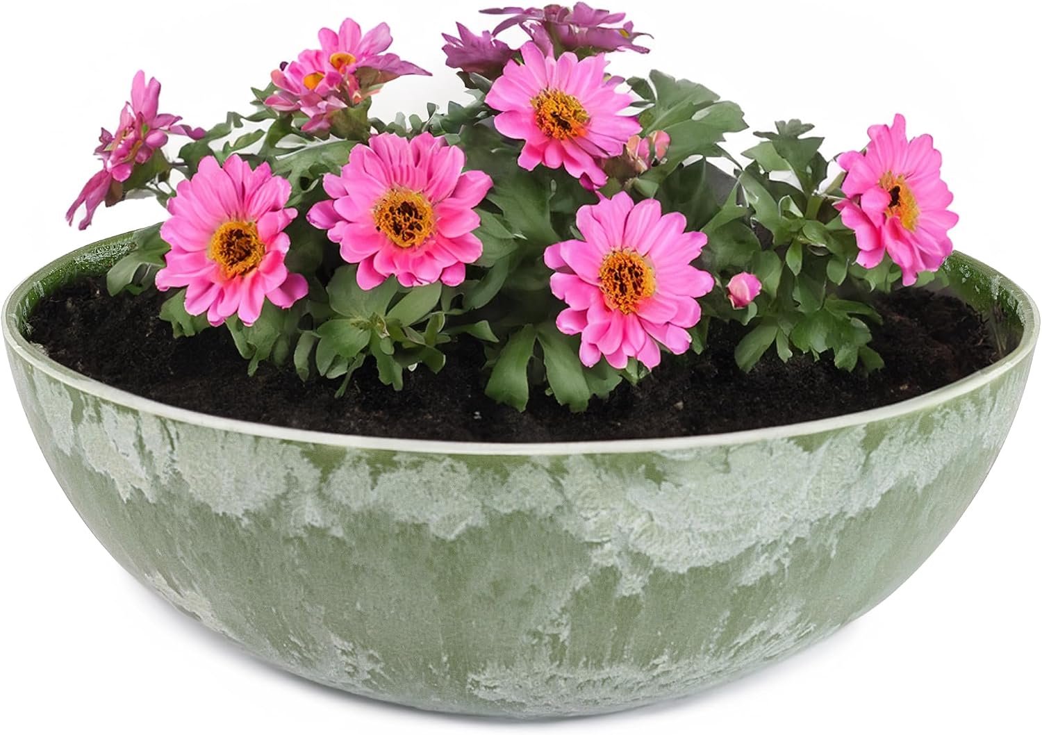 plantenschaal 20 x 7,5 cm - olijfgroen gemarmerd - weerbestendig - ideaal voor decoratie - ServiceTopper