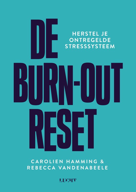 Boekomslag 'De burn-out reset' met donkerblauwe tekst op een turquoise achtergrond.