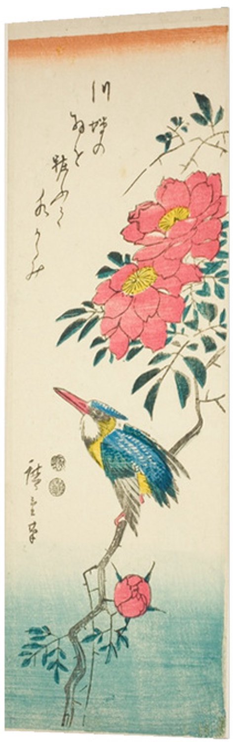 Printen.eu Poster - Kingfisher and roses - 15.6 x 46.5 cm Multicolor