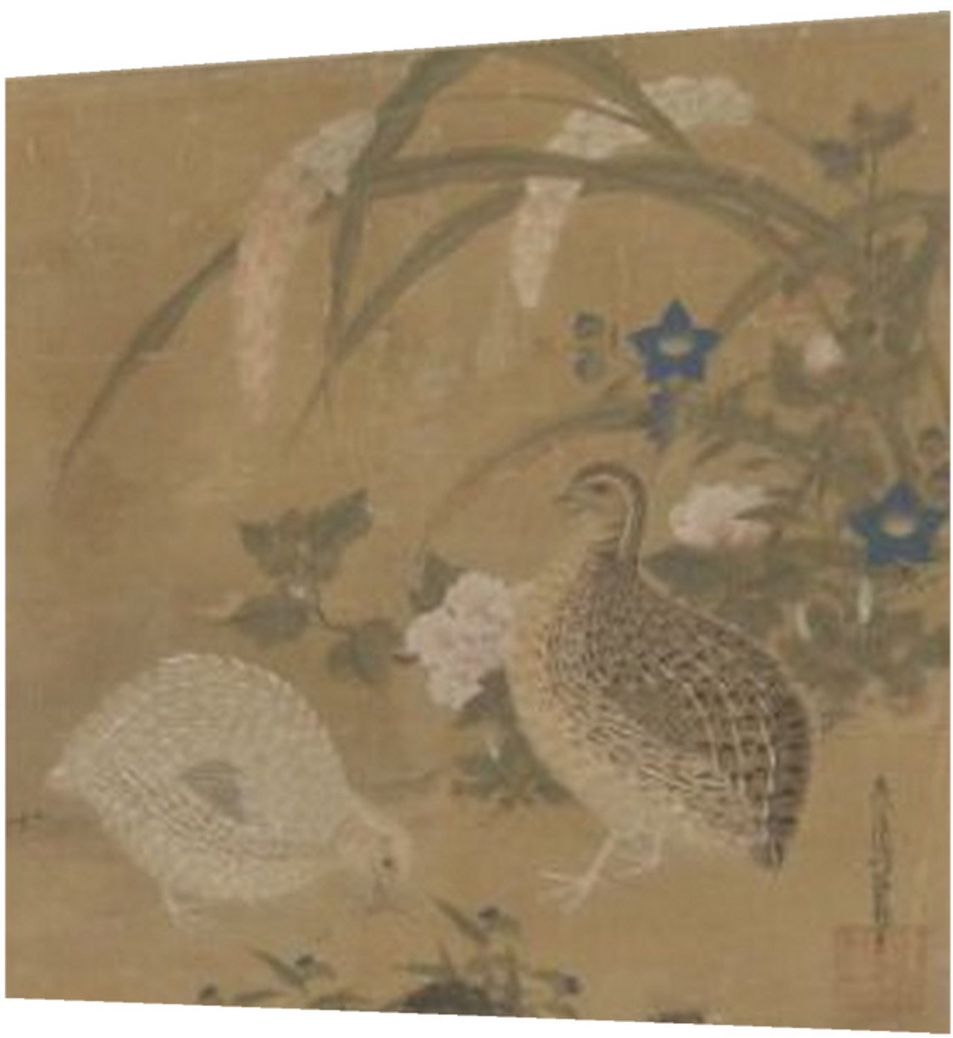 Printen.eu Poster - Kwartels met een krekel, gierst en bloemen - 28.7 x 27.4 cm Multicolor