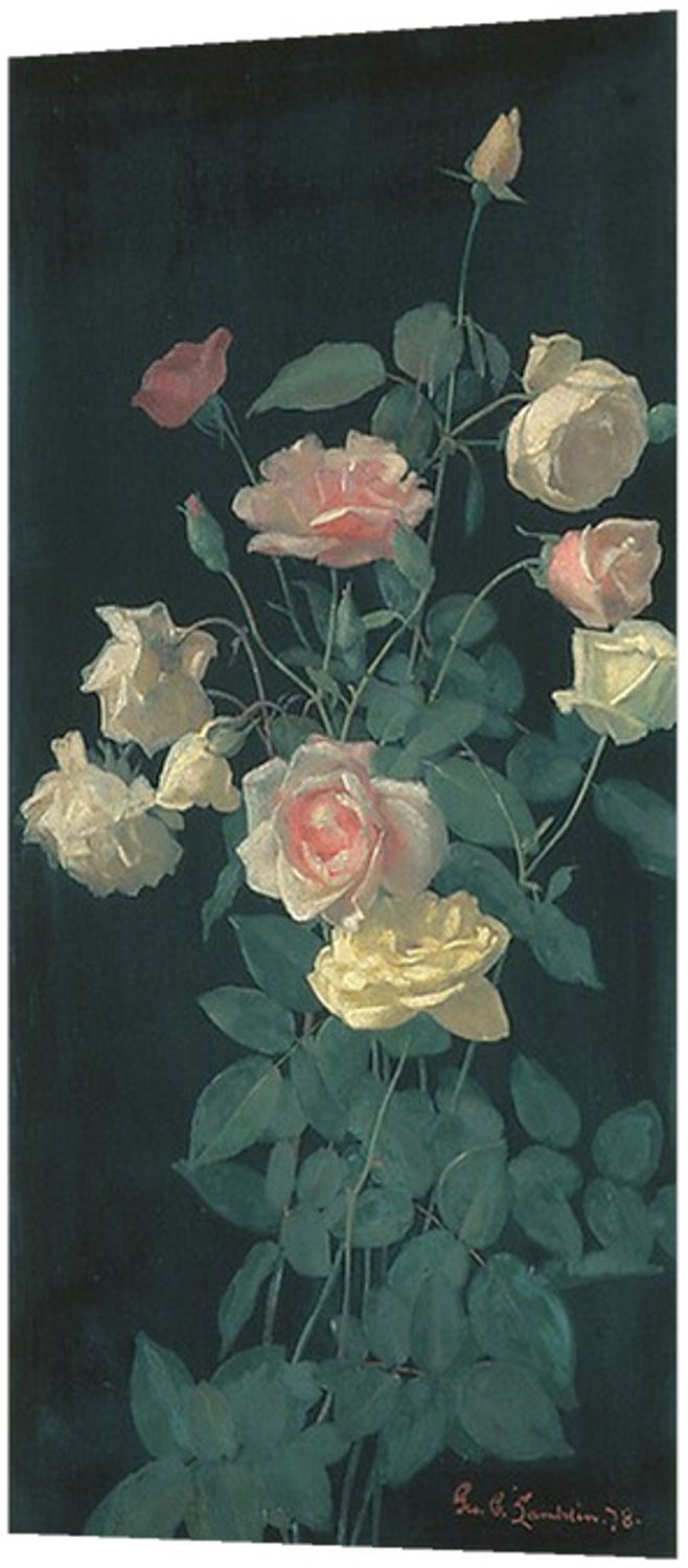 Printen.eu Poster - Roses - 16 x 33.7 cm Multicolor