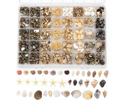 200 Piece Shells Set, Natural Shells for Crafts Maritime Decoration - ShopVlot
