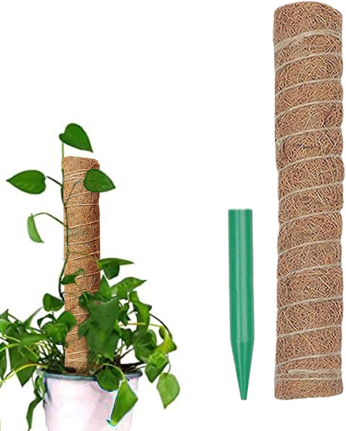 Mosstokken voor klimplanten Monstera Coco Kokos Mos Ondersteuning