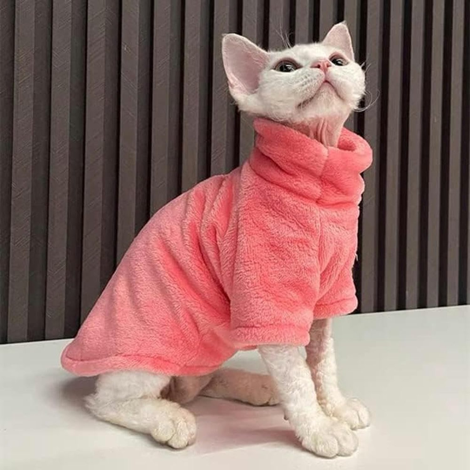 Winter Kattenkleding Voor Sphinx Warme Hoodies Huisdieren Verdikte Jas Kittens Kostuums Chihuahua Herfst Dubbelzijdig Plus Fluweel-XS