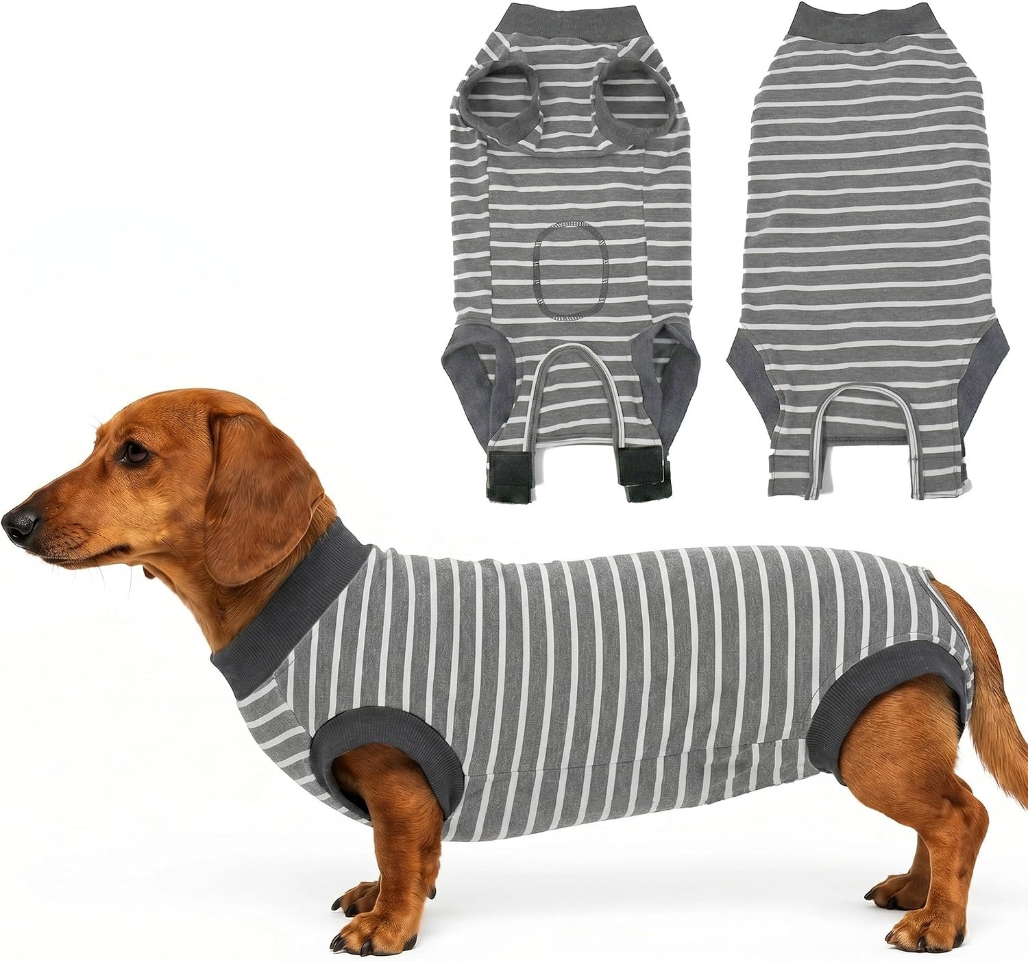 Chirurgische onesie voor teefjes en mannen