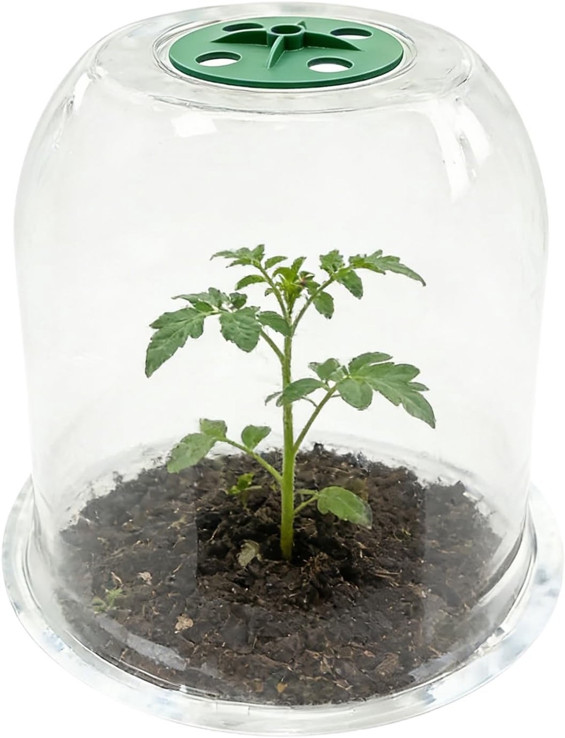 Plant Covers Bevriezing Bescherming Plant Transparante Koude Protector