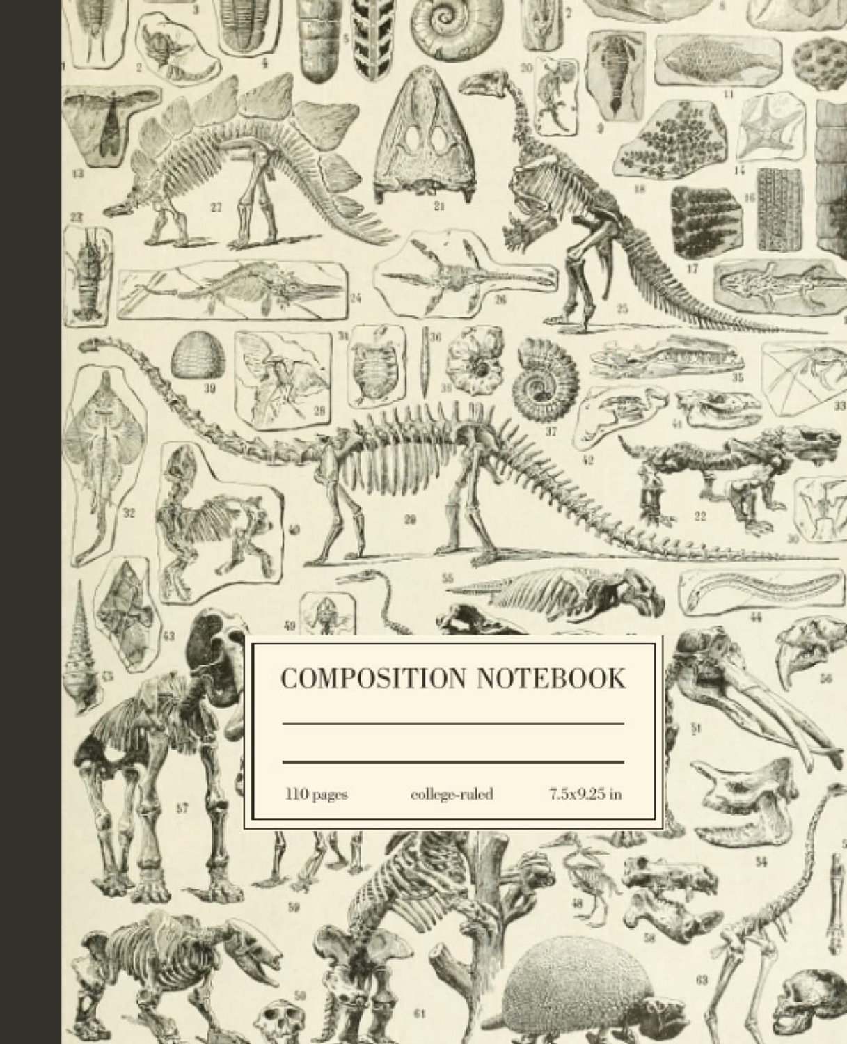 Composition Notebook College Ruled: Dinosaur Fossils Vintage Science Illustration - ShopVlot