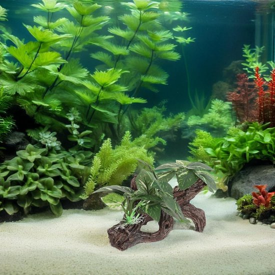 4 Stuks Delige Aquarium Driftwood Decor met Schuilgrot Bladeren Natuurlijke Vis Schuilplaats voor Garnalen Betta Duurzaam Geschikt voor Diverse Visaquaria — afbeelding 3