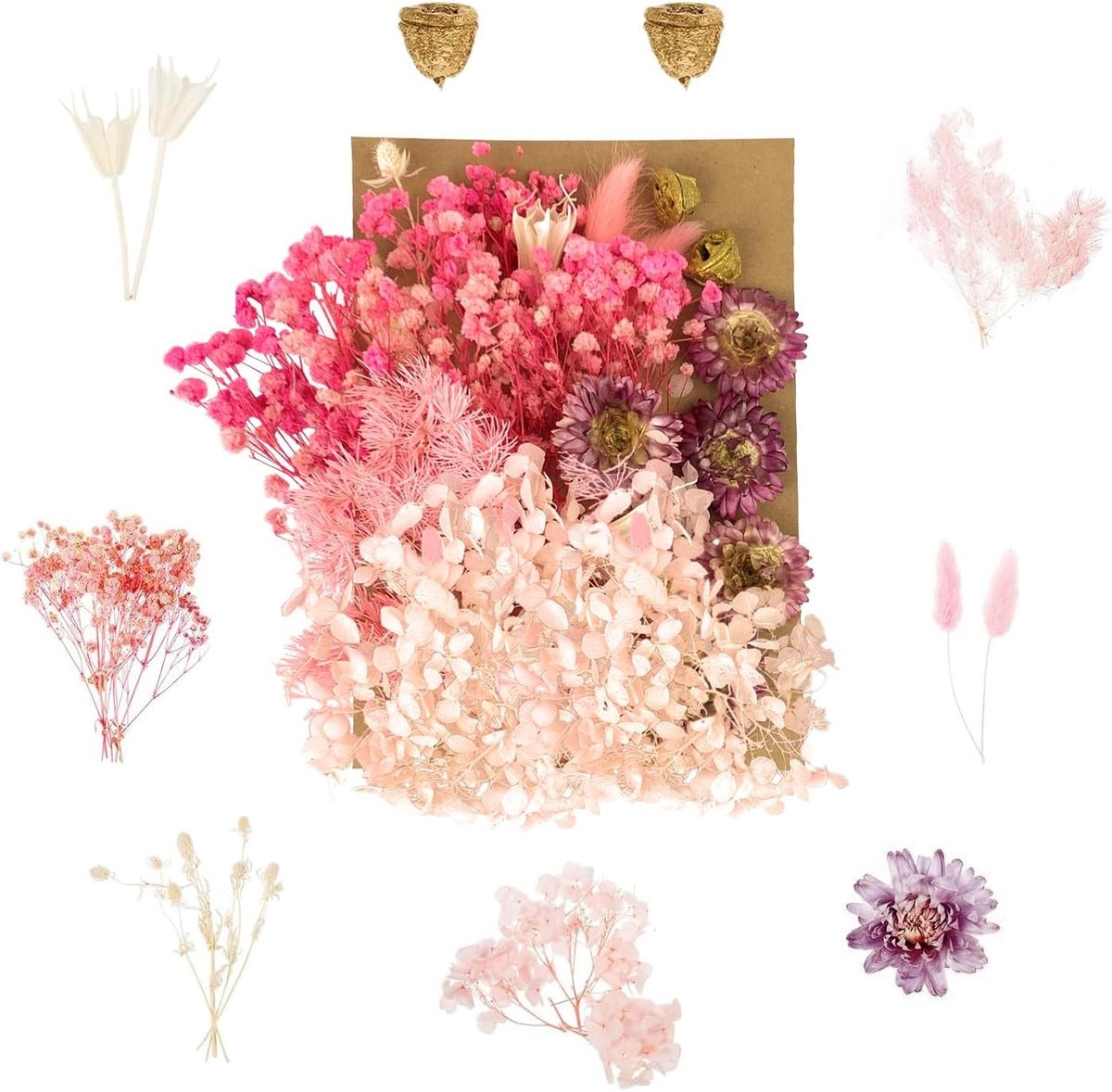 Drogen Bloemen voor DIY Kunst en Ambachten, Resin Creaties, Scrapbooking, Sieraden Maken, Kaarten en Kaarsen Decoratie, Cadeau Ideeën (Roze)