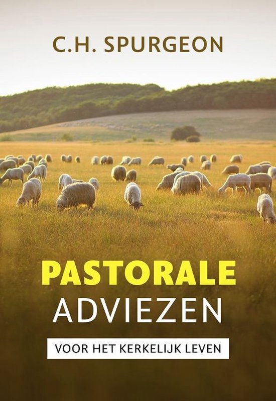 Boekomslag met een kudde schapen in een zonnig veld. Tekst: C.H. Spurgeon, Pastorale adviezen voor het kerkelijk leven.
