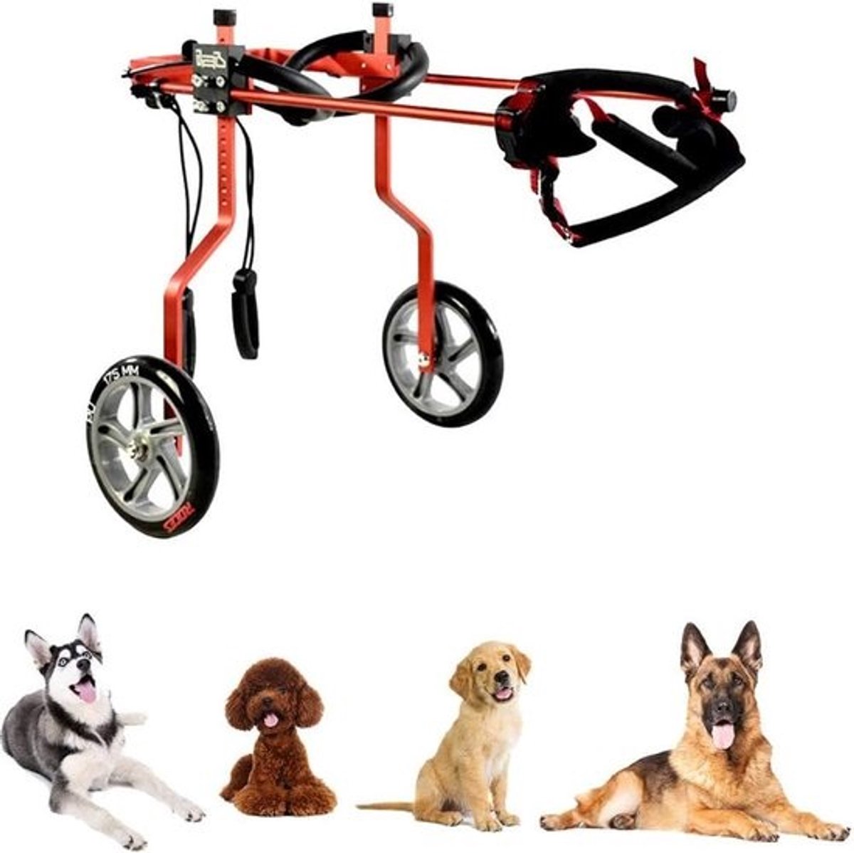 Hondenrolstoel - Hulpmiddel Honden - Mobiliteit Verbeteren - Verstelbaar Ontwerp - Tot 11 Pond - Rood