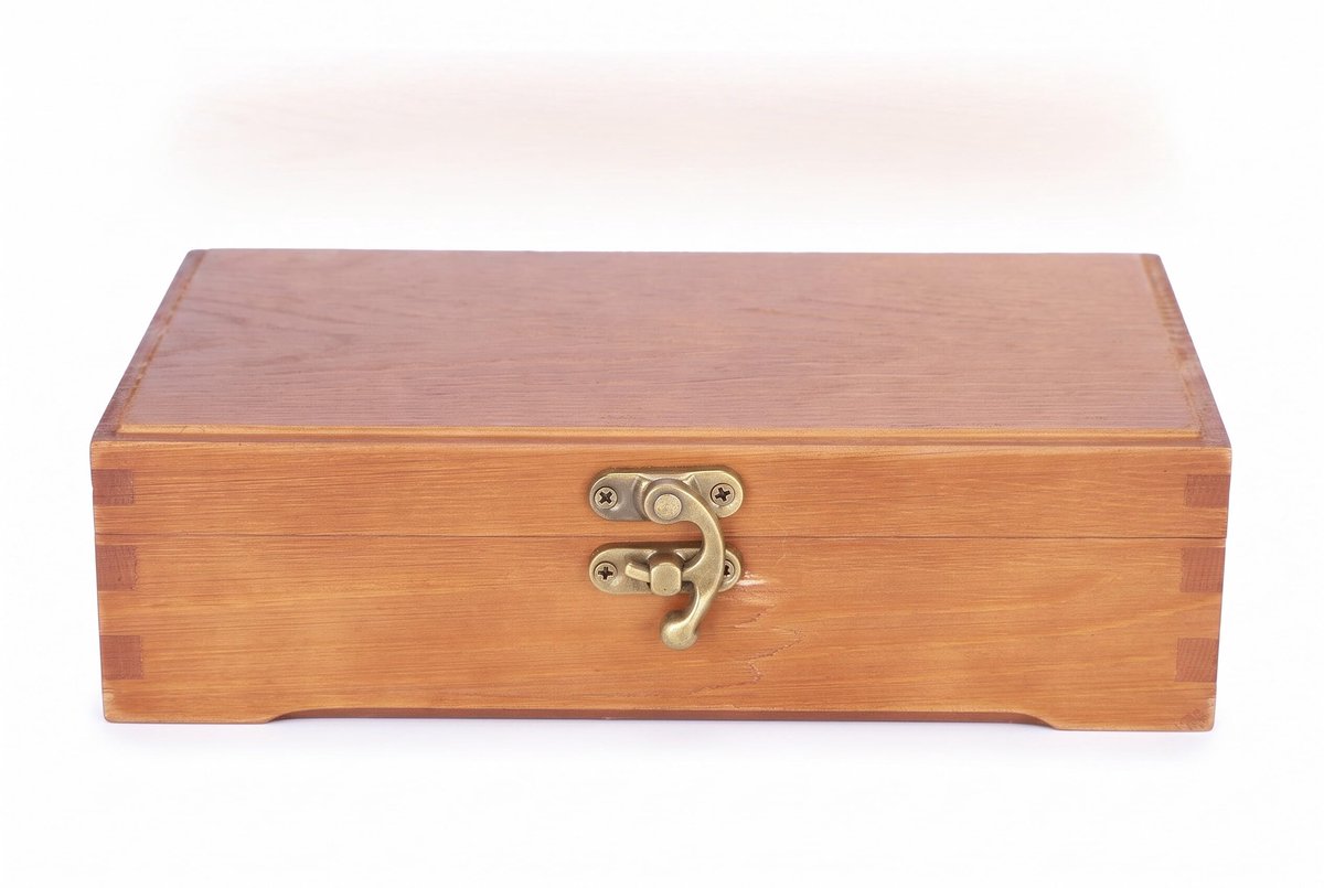 Dailygoods- Opbergdoos Houten - Opbergdoos met Deksel - Opbergdoos met Slot - Vintage Ontwerp - Grote Capaciteit - Schokbestendig Hout - Opbergbox