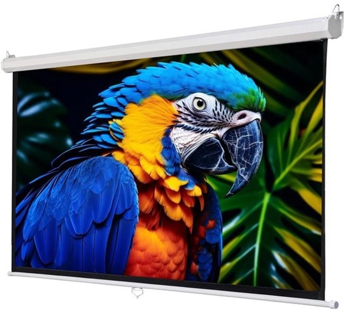 Projectiescherm - Rolscherm - Thuisbioscoop Ervaring - Automatisch Vergrendelingssysteem - 72 inch - Wit