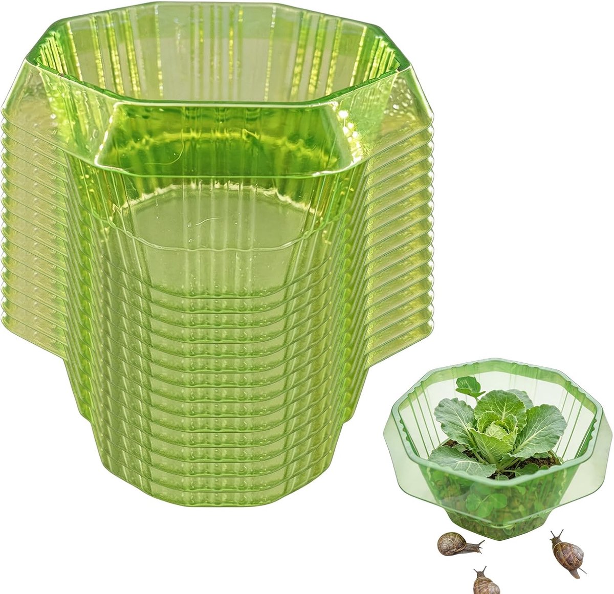 22 stuks groene slakkenkraagbescherming: zeer transparante PET-slakkenbeschermring effectief, octagonaal plastic slakkenafweer, slaplantbescherming, voor moestuin en bloemperken 22 cm × 13 cm