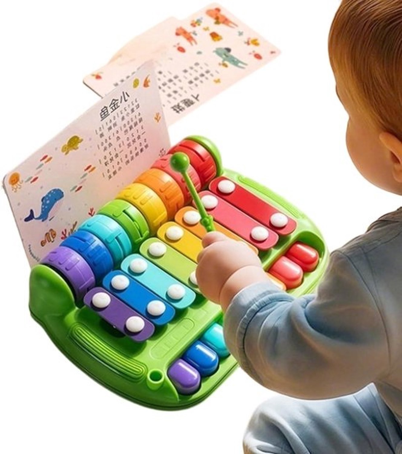 Xylofoon Piano Speelgoed - Muziekbord Kinderen - Muzikale Opvoeding - Visueel Leergereedschap - 21 x 16 x 7 cm - Multicolor