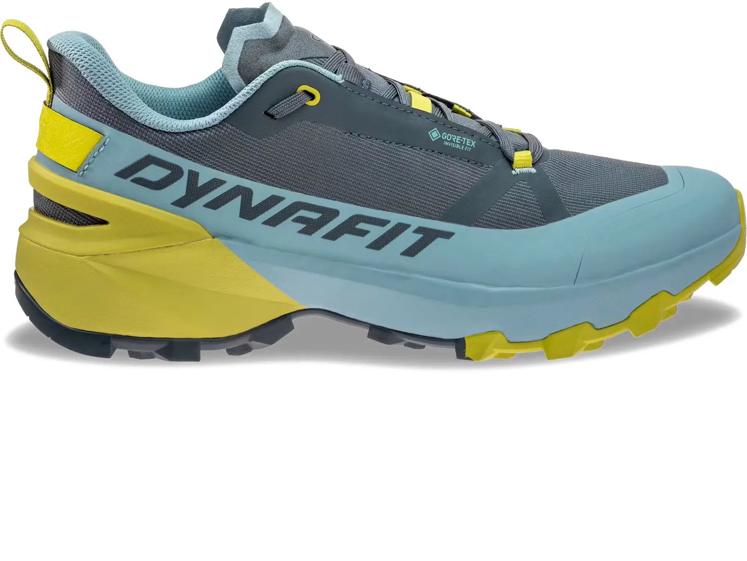 Wandelschoenen Dynafit Transalper Gtx Blauw