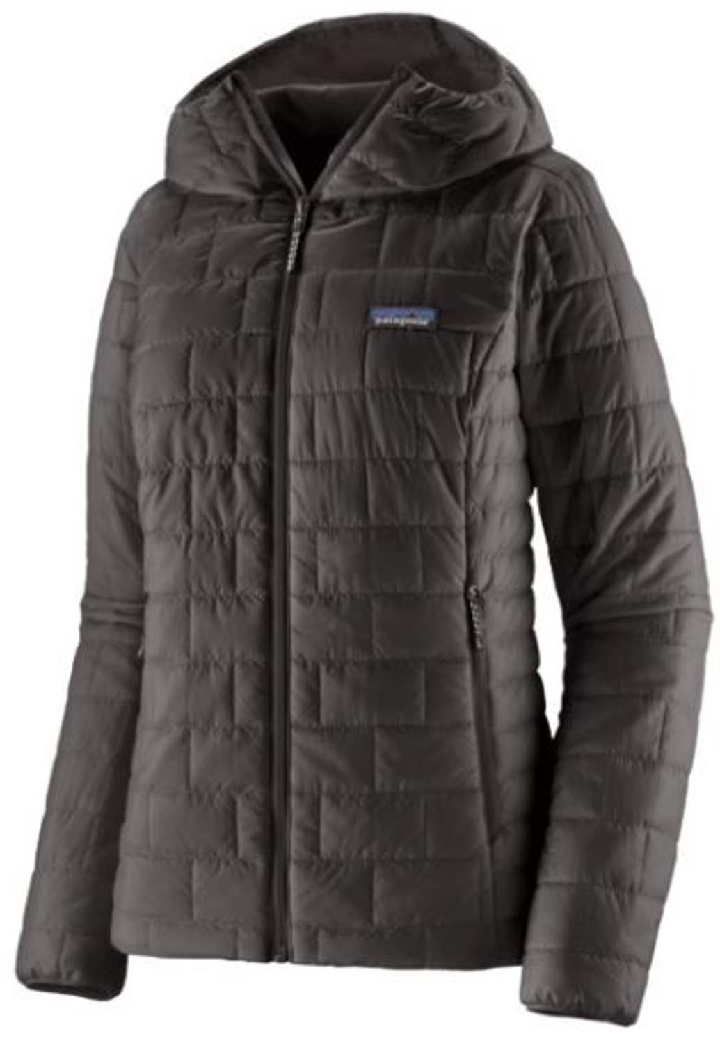 Patagonia Nano Puff Hoody Zwart