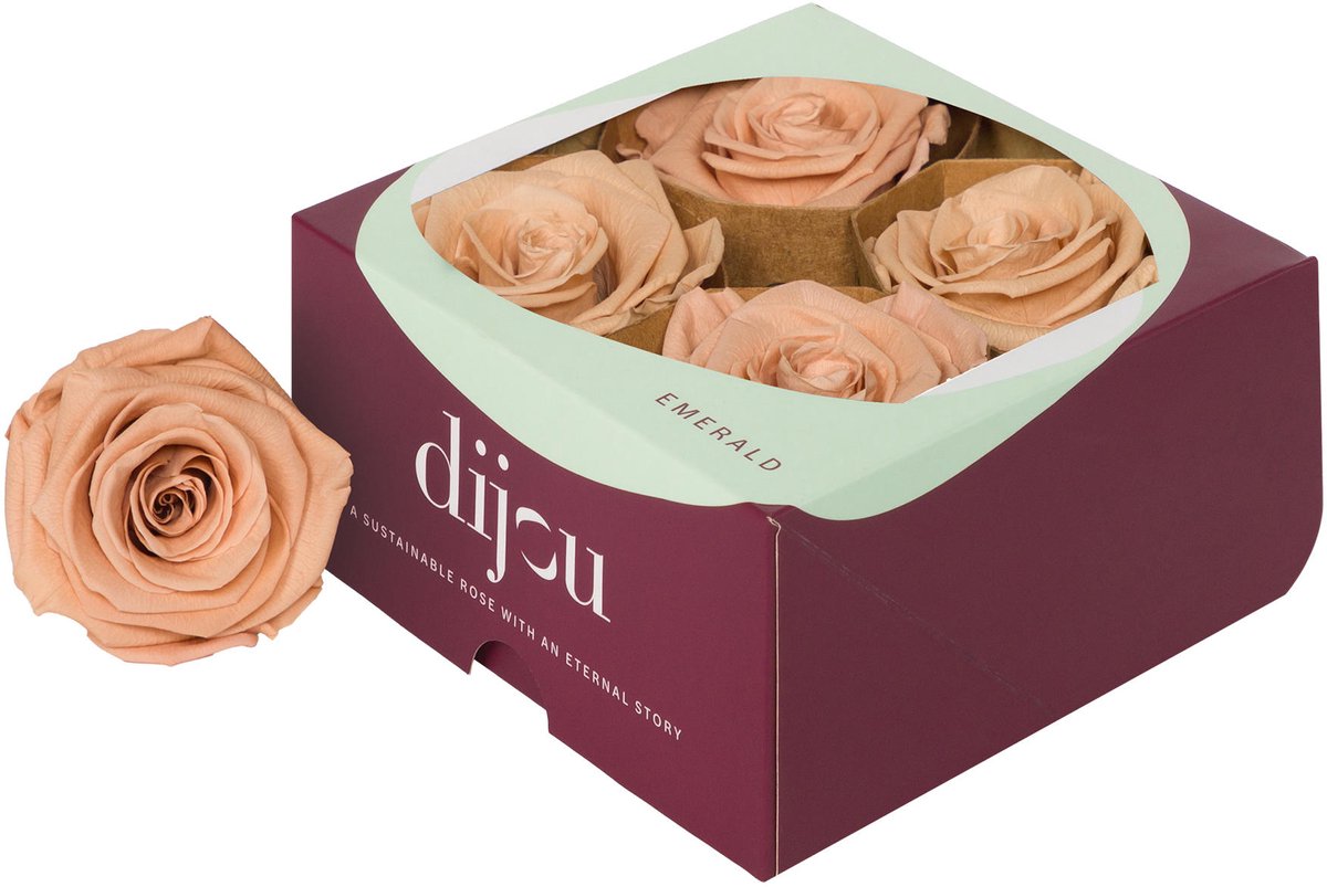 4x Dc pres.rozen apricot