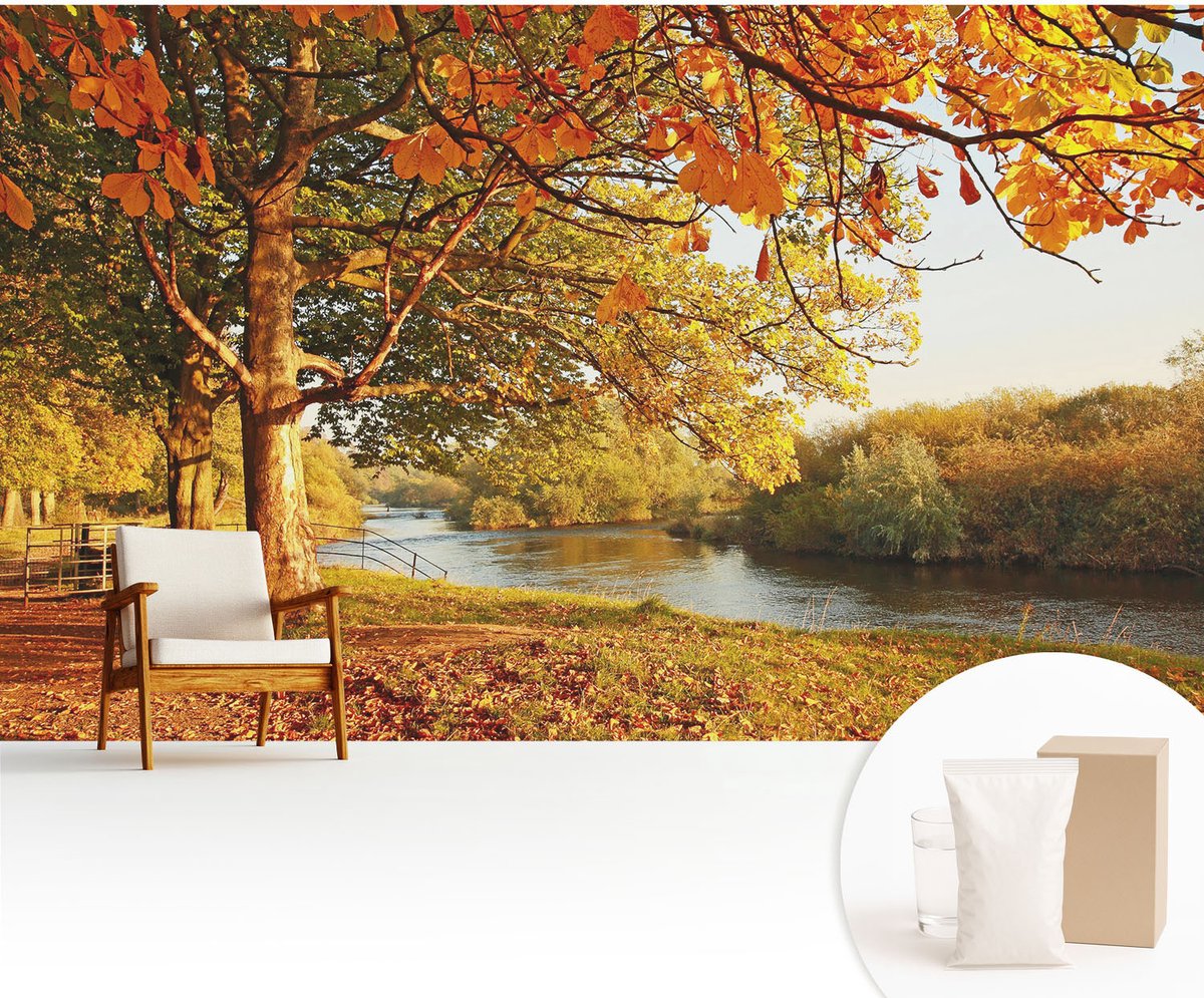 Wallfluent Fotobehang - Geel Vliesbehang - 416x254 cm - Herfst Aan De Kust Muurschildering - Slaapkamer behang Landschappen - Fotobehang Vlies - Gang behang