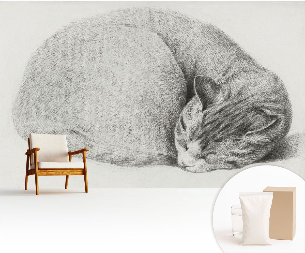 Wallfluent Fotobehang - Grijs Vliesbehang - 416x254 cm - Opgerolde Kat Muurschildering - Slaapkamer behang Dieren - Fotobehang Vlies - Gang behang