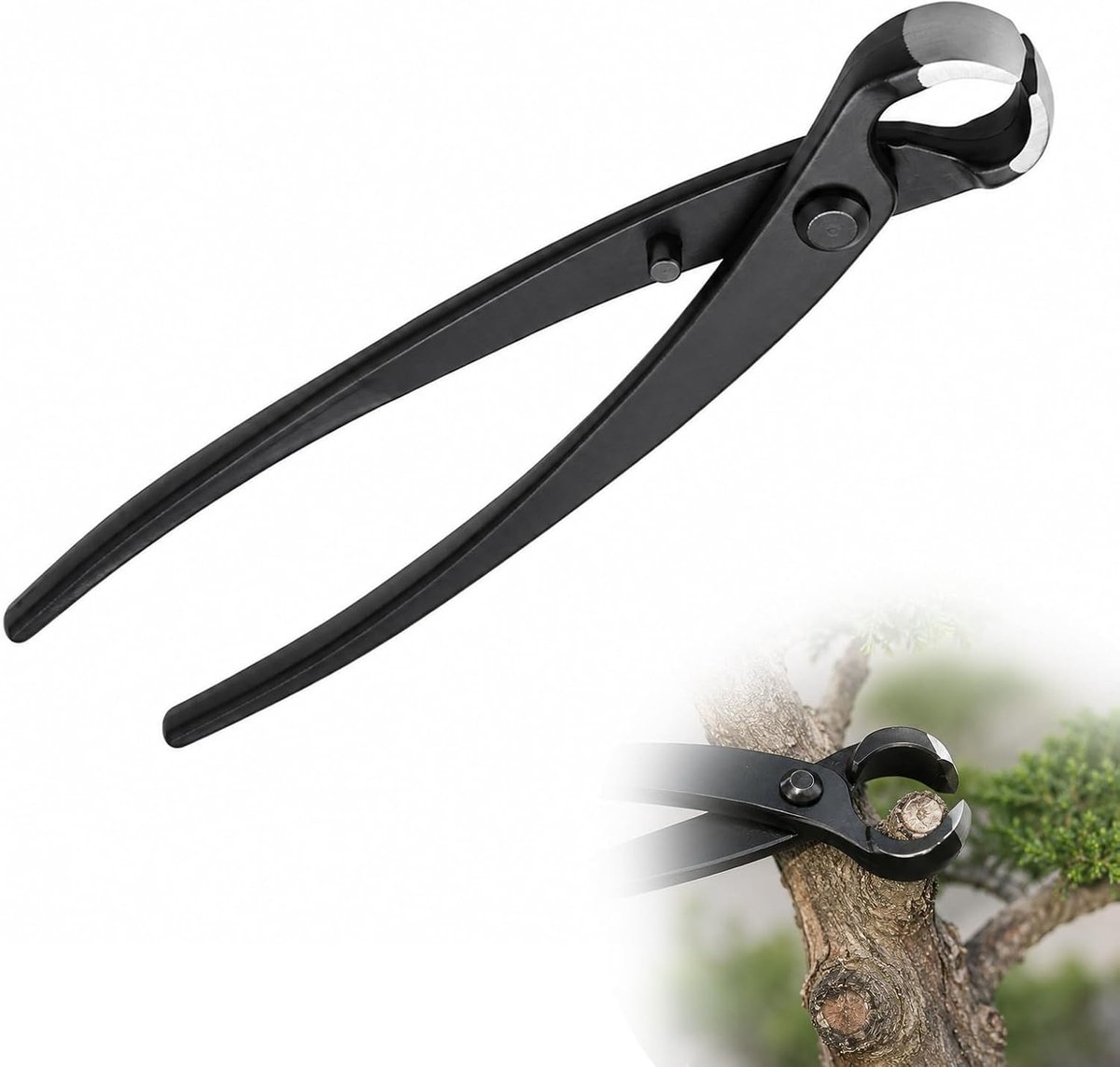 Zolara Bonsaischaar, 210 mm, knoptang voor bonsai, roestvrij staal, concave tang, bonsaiknoptang, compatibel met - ShopVlot